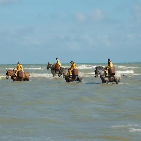 In Near The Beach, Cleaning Included Διαμέρισμα Koksijde