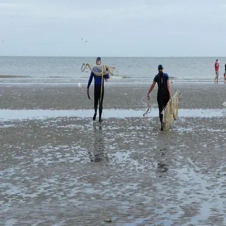 In Near The Beach, Cleaning Included Koksijde